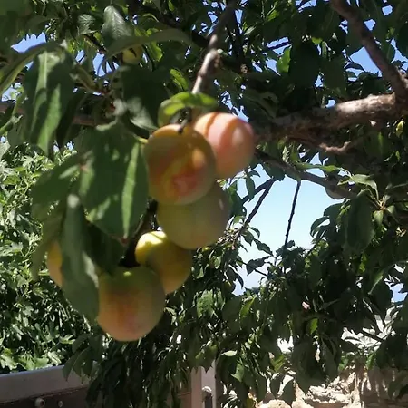 Villa Angela Dhrousha